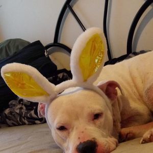 Meet your Posher, Shawn